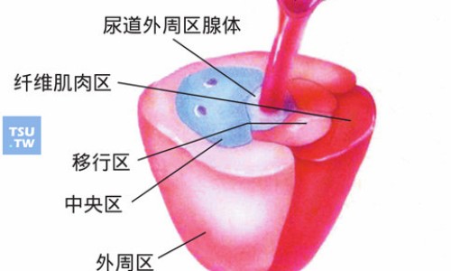 吡非尼酮胶囊的作用-【吡非尼酮胶囊的作用】吡非尼酮片的作用 - 吡非尼酮胶囊主治网