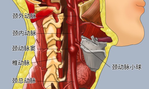 吡非尼酮胶囊的功效和副作用-【吡非尼酮胶囊的作用】吡非尼酮片的作用 - 吡非尼酮胶囊主治网
